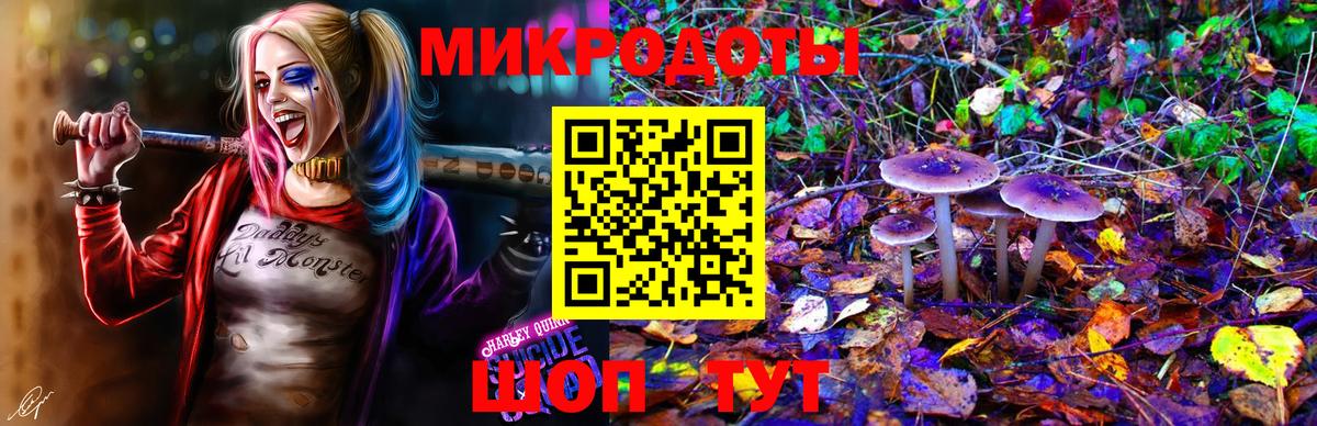 Иркутск  Псилоцибиновые грибы Psilocybe  Вход с VPN 